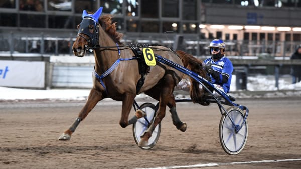 Foto: MALIN ALBINSSON / TR BILD