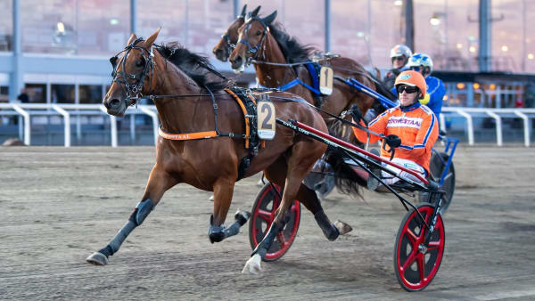 Foto: MIKAEL ROSENQUIST / TR BILD