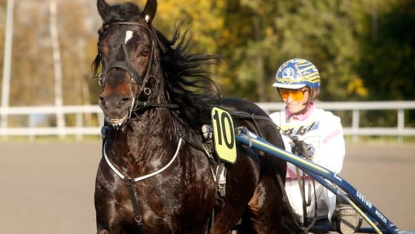 Foto: MICKE GUSTAFSSON/ALN