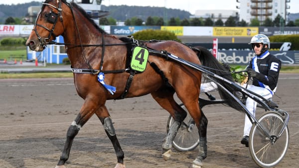 Foto: MALIN ALBINSSON / TR BILD