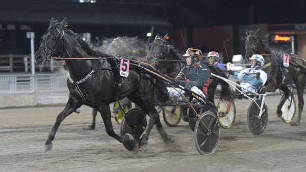 Foto: LARS JAKOBSSON / TR BILD