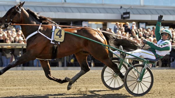 Foto: Maria Holmén/TR Bild