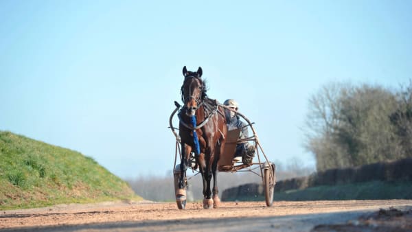 Foto: Simon Hagen/stalltz.se