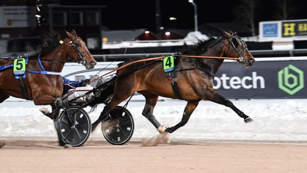 Foto: MALIN ALBINSSON / TR BILD