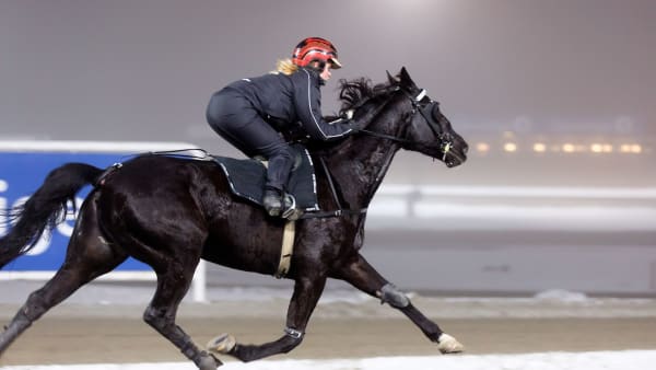 Foto: Eirik Stenhaug, Equus media
