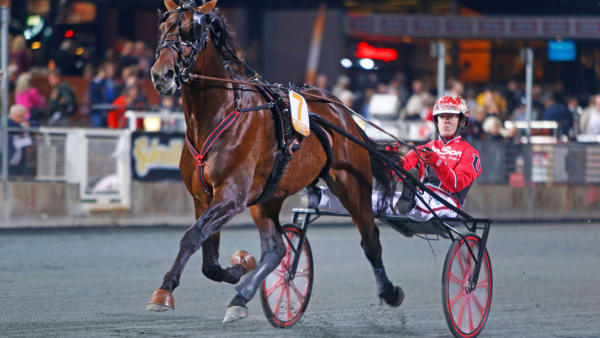 Foto: Matilda Öhrman