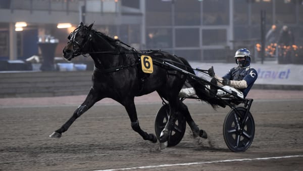 Foto: MALIN ALBINSSON / TR BILD