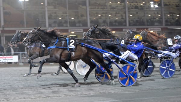 Foto: LARS JAKOBSSON / TR BILD