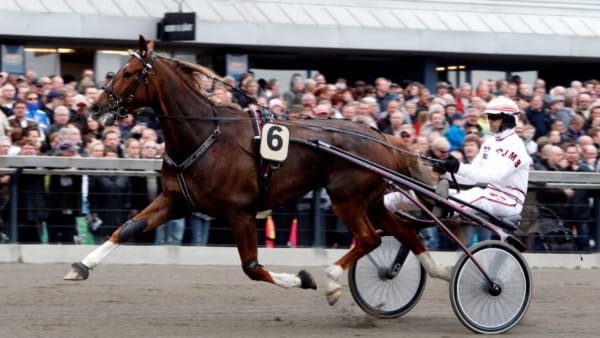 Foto: ANNA PERSSON/TRAVRONDEN