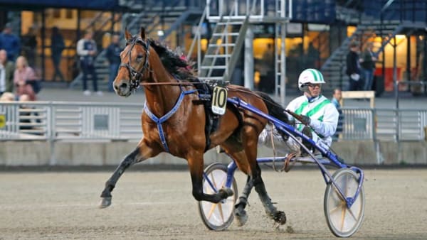 Foto: MARIA HOLMÉN, TRAVRONDEN