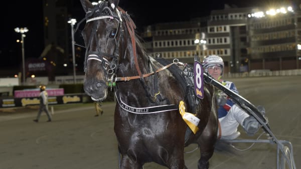 Foto: LARS JAKOBSSON / TR BILD