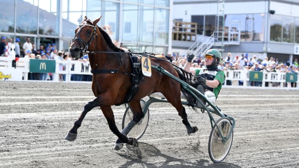 Foto: MALIN ALBINSSON / TR BILD