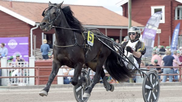 Foto: LARS JAKOBSSON / TR BILD