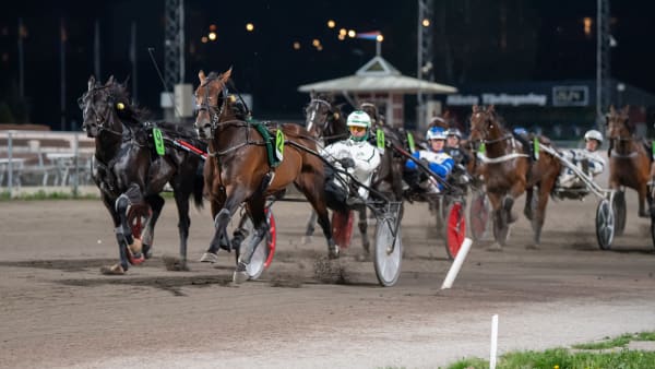 Foto: MIKAEL ROSENQUIST / TR BILD