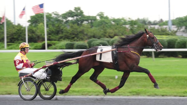 Foto: CLAES KÄRRSTRAND