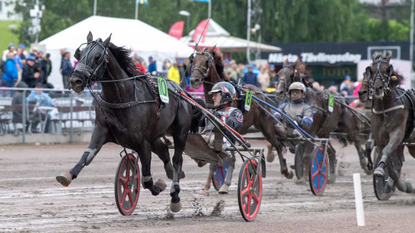 Foto: MIKAEL ROSENQUIST / TR BILD