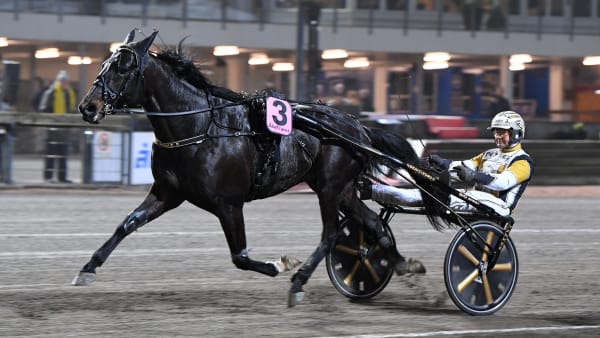 Foto: MALIN ALBINSSON / TR BILD