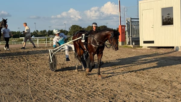 Foto: Rickard Hansson/TR BILD