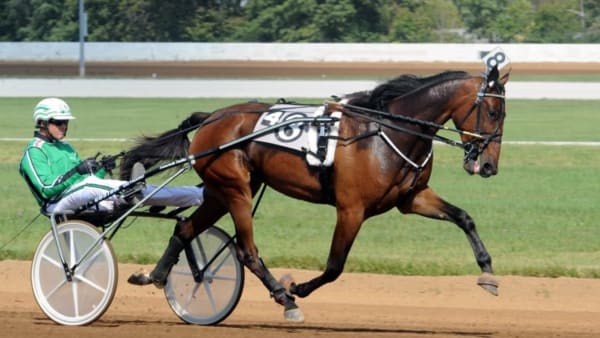 Foto: ADAM STRÖM/STALLTZ.SE