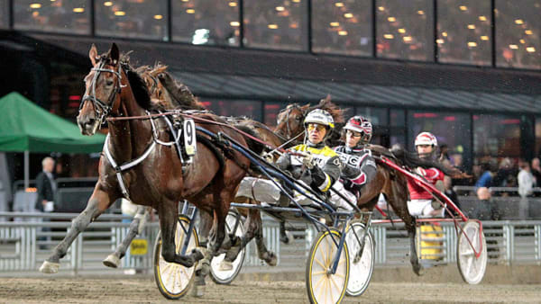 Foto: Foto: Maria Holmén