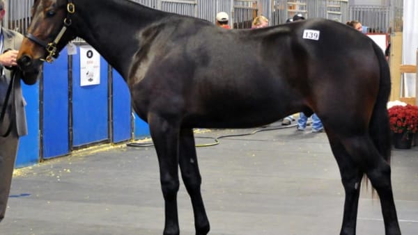 Foto: Simon Hagen/stalltz.se