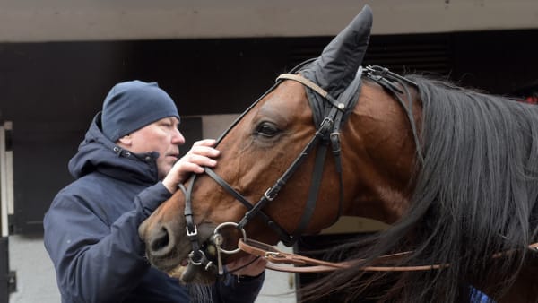 Foto: LARS JAKOBSSON/TR BILD