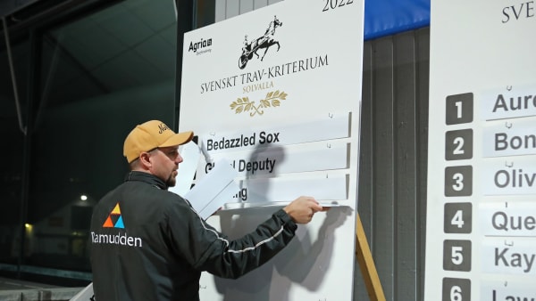 Foto: MARIA HOLMÉN / TR BILD