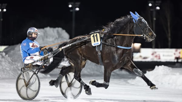 Foto: LENA EMMOTH / TR BILD