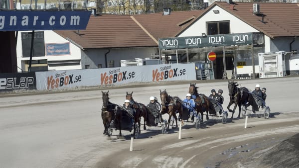 Foto: LARS JAKOBSSON / TR BILD