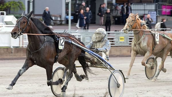 Foto: TOMMY ANDERSSON/ALN