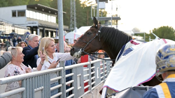 Foto: LARS JAKOBSSON / TR BILD