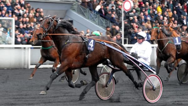 Foto: TOMMY ANDERSSON/ALN