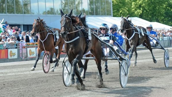 Foto: LENNART KIHLMAN/ALN