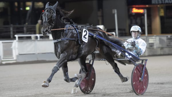 Foto: LARS JAKOBSSON / TR BILD