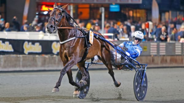 Foto: Matilda Öhrman/Travronden