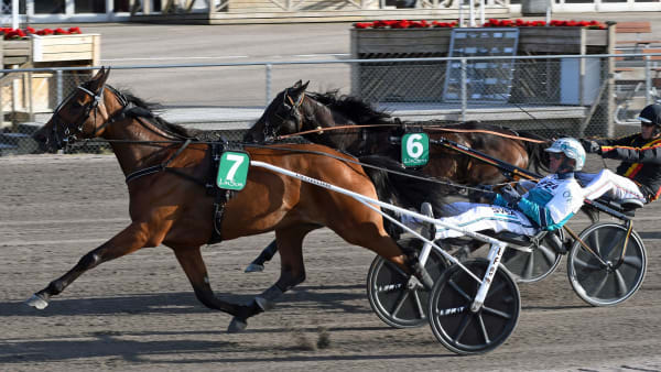 Foto: Lars B Persson