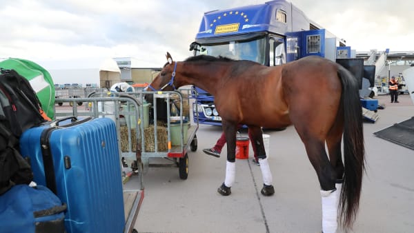 Foto: Maria Holmén/TR BILD