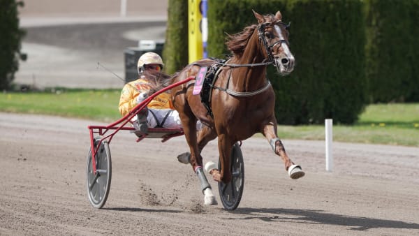 Foto: TR BILD