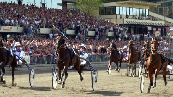 Foto: MARTIN LANGELS/TR BILD