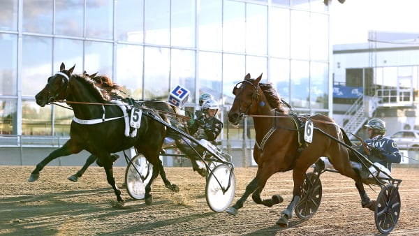 Foto: MARIA HOLMÉN / TR BILD