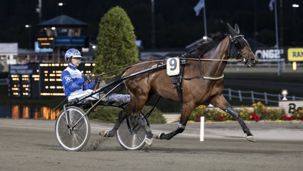 Foto: LENA EMMOTH / TR BILD