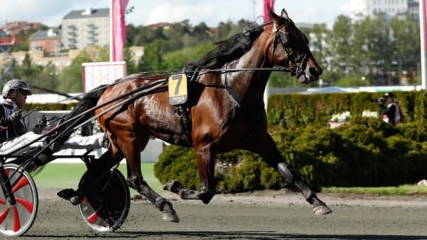 Foto: LENA EMMOTH/TR BILD