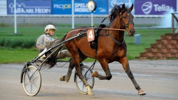 Foto: MARTIN LANGELS/ALN