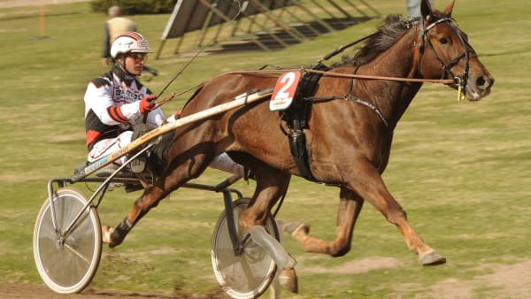 Foto: LARS JAKOBSSON / TR BILD