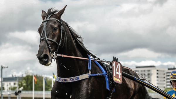 Foto: Lena Emmoth/TR Bild