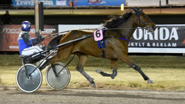 Foto: ALN/Magnus Strömsten