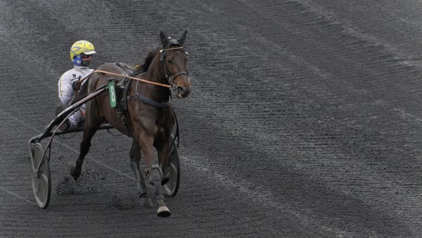 Foto: Jean-Luc lamaère-LeTROT