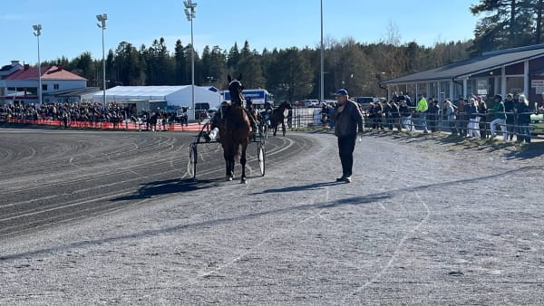 Foto: PATRICK SJÖÖ/TR BILD