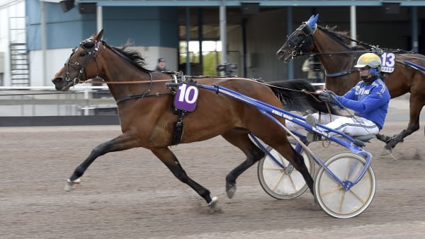 Foto: LARS JAKOBSSON / TR BILD