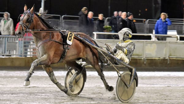 Foto: LEIF NORBERG/ALN